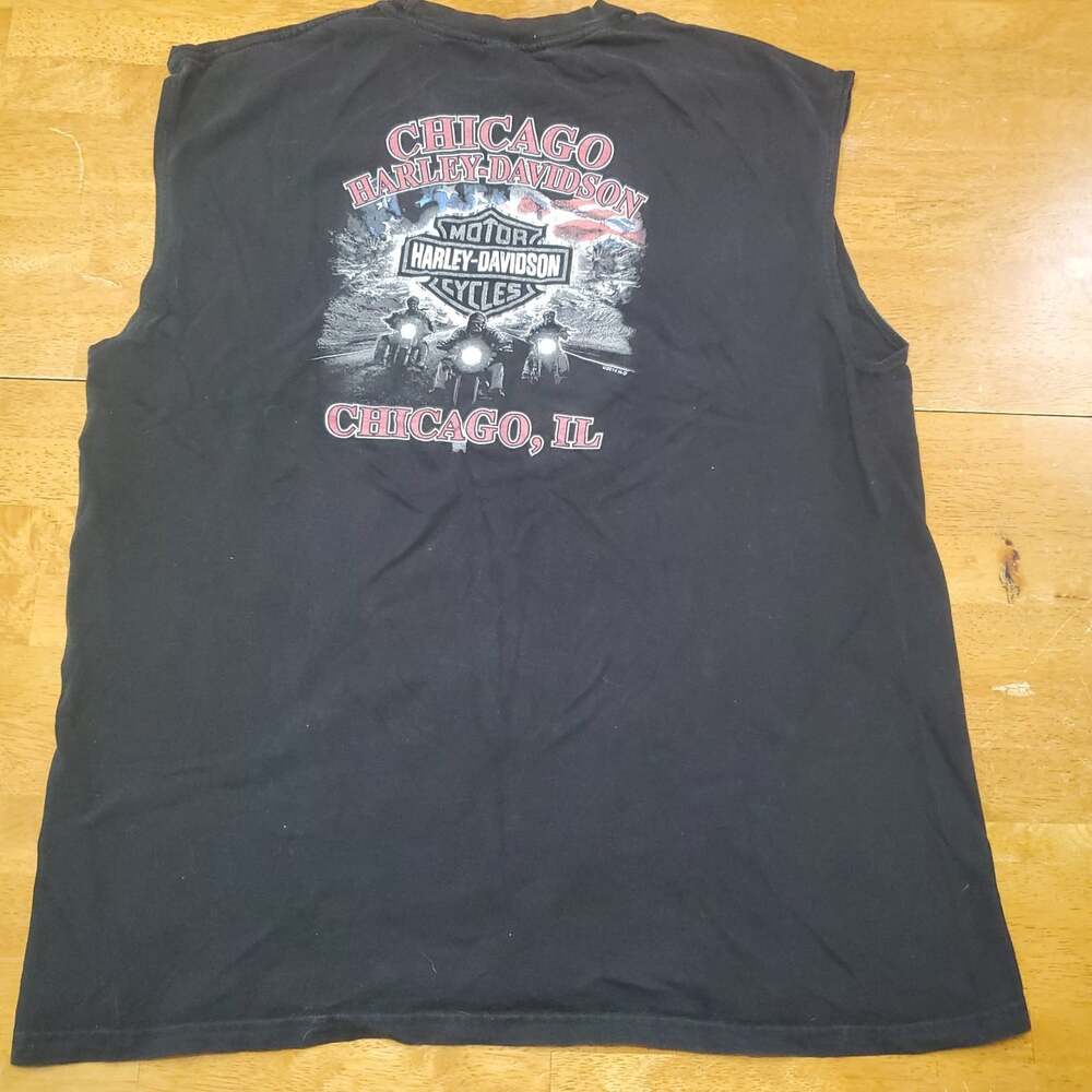 Harley Davidson Skull Ride Hard Sleeveless Shirt Men's L 2014 Black Chicago - Picture 4 of 8